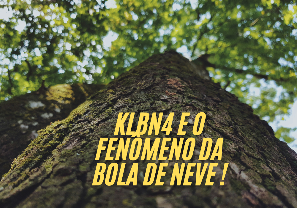 Klbn4 e o fenômeno da bola de neve com ações.